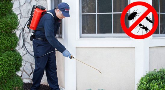 Çamaş Kene İlaçlama böcek ilaçlama ve haşere kontrolü — ilaclama-tr.com